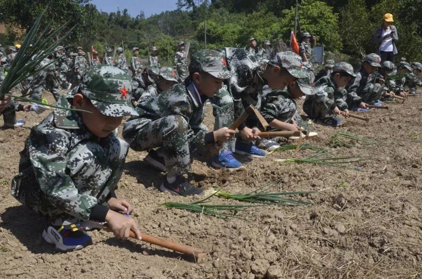 劳动教育