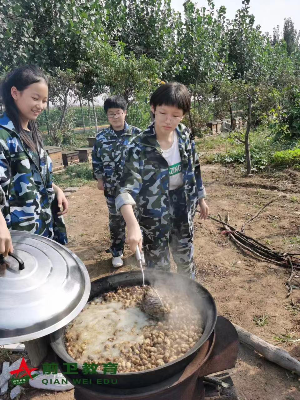 劳动教育