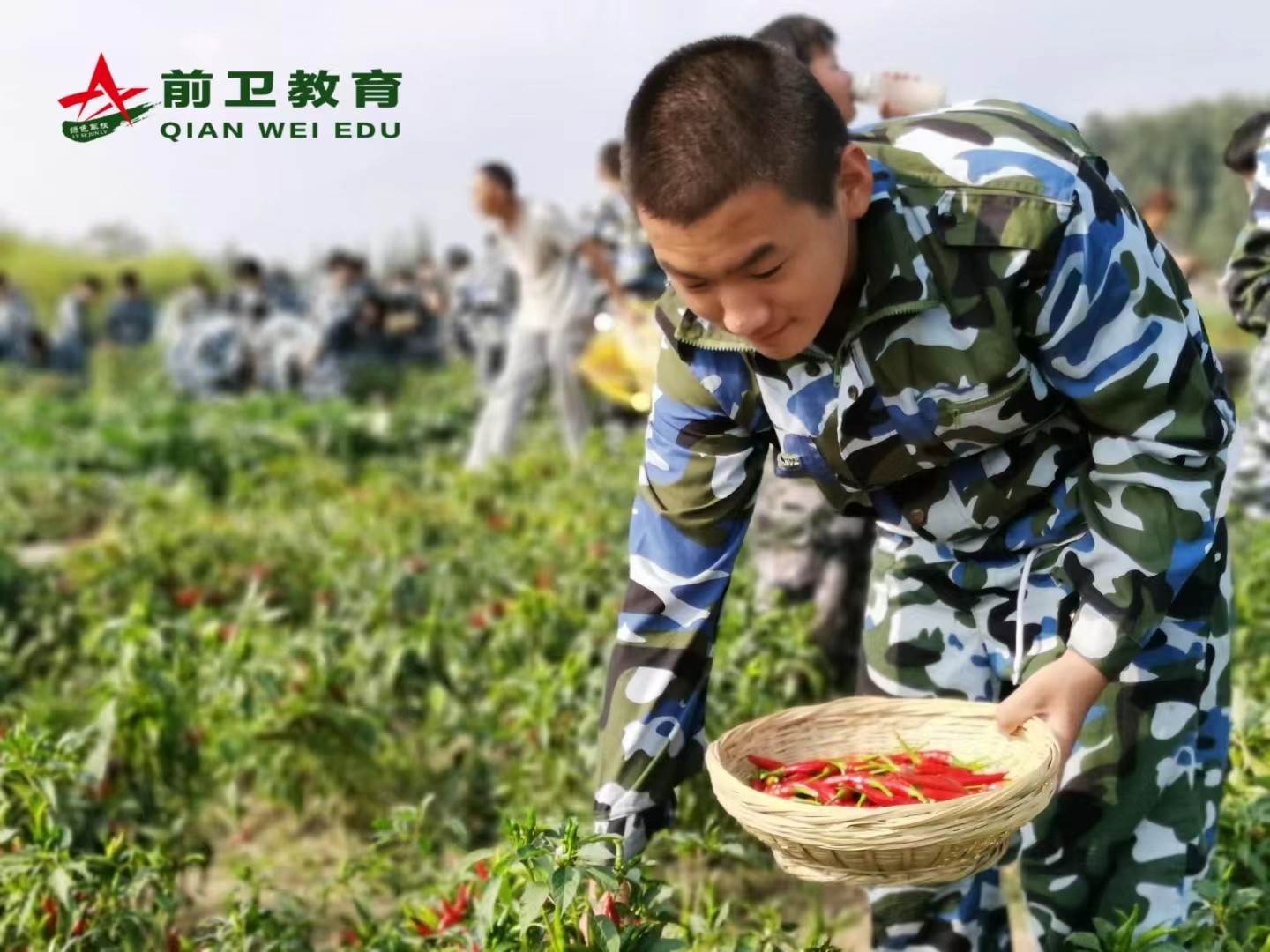 劳动教育